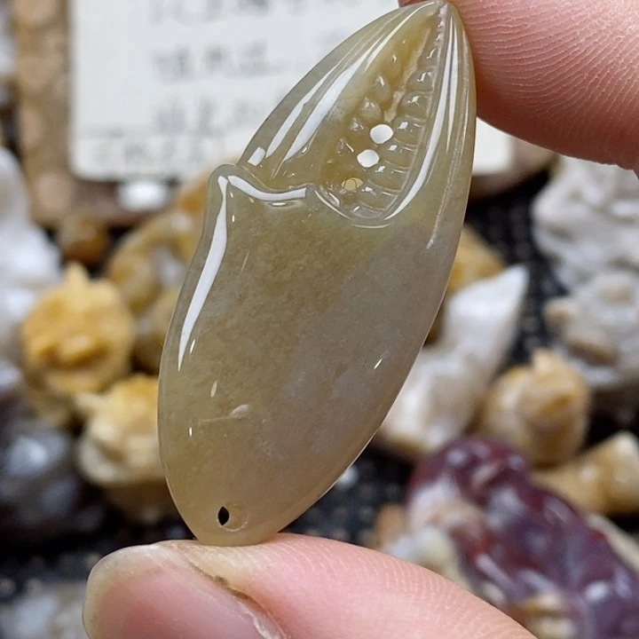 颈饰未镶嵌硅化珊瑚（珊瑚玉）