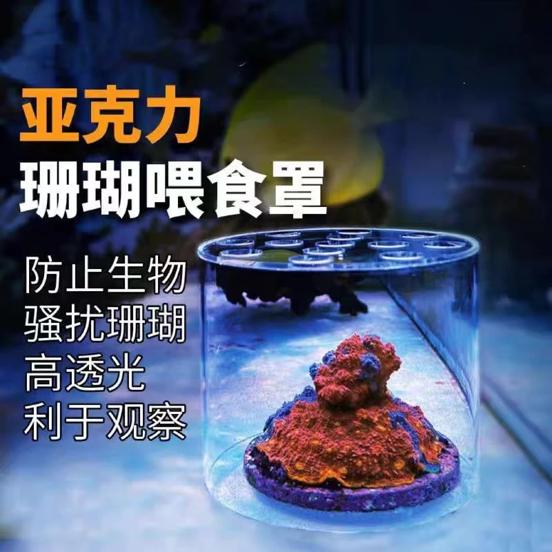 珊瑚喂食保护罩食管器繁殖保护圈亚克力罩喂食工具隔离器挡鱼罩