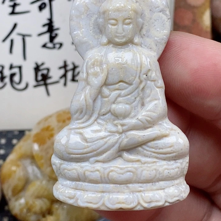颈饰未镶嵌硅化珊瑚（珊瑚玉）