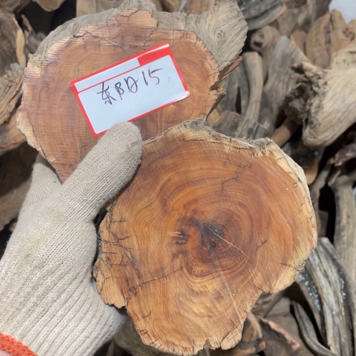 东*毛料毛料毛料毛料