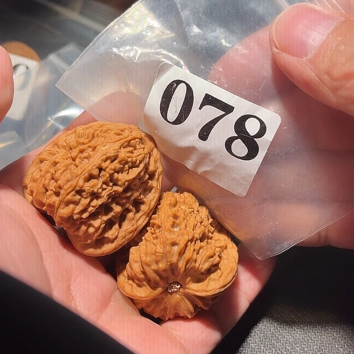 木质11111111111111