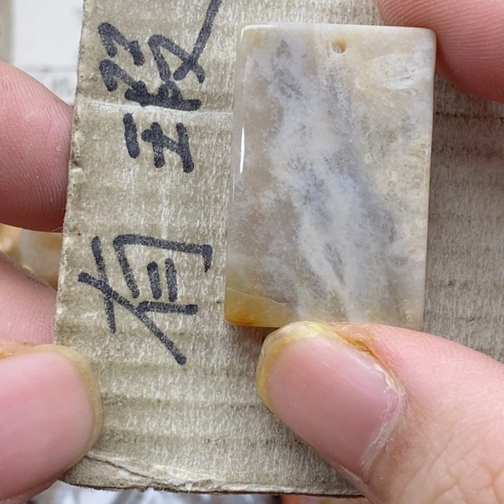 颈饰未镶嵌硅化珊瑚（珊瑚玉）s**.