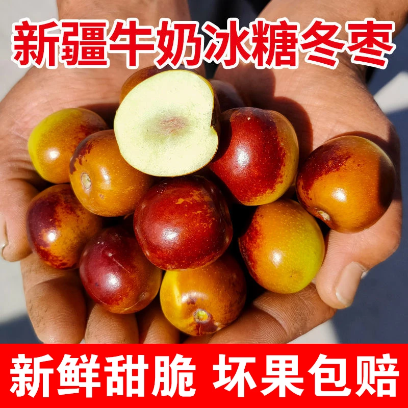 新疆牛奶冬枣  京东/顺丰包邮到家