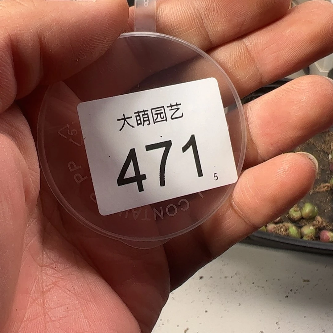 流*瑶0000471 一物一拍……