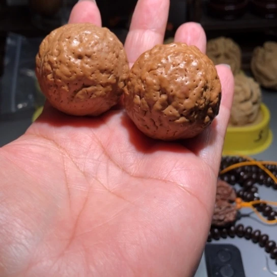 吊坠橄榄核三瓣龙眼金刚菩提