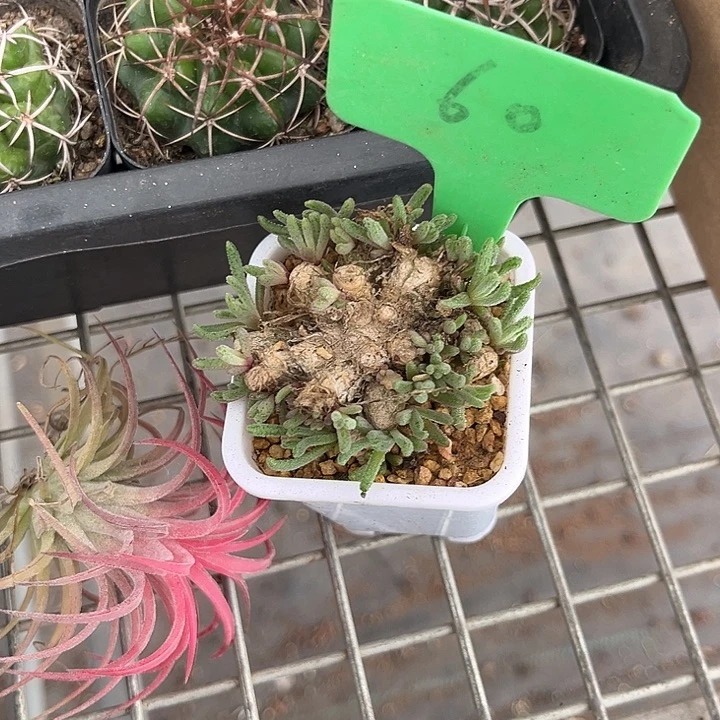 至***宝我也想你了呀你在哪了