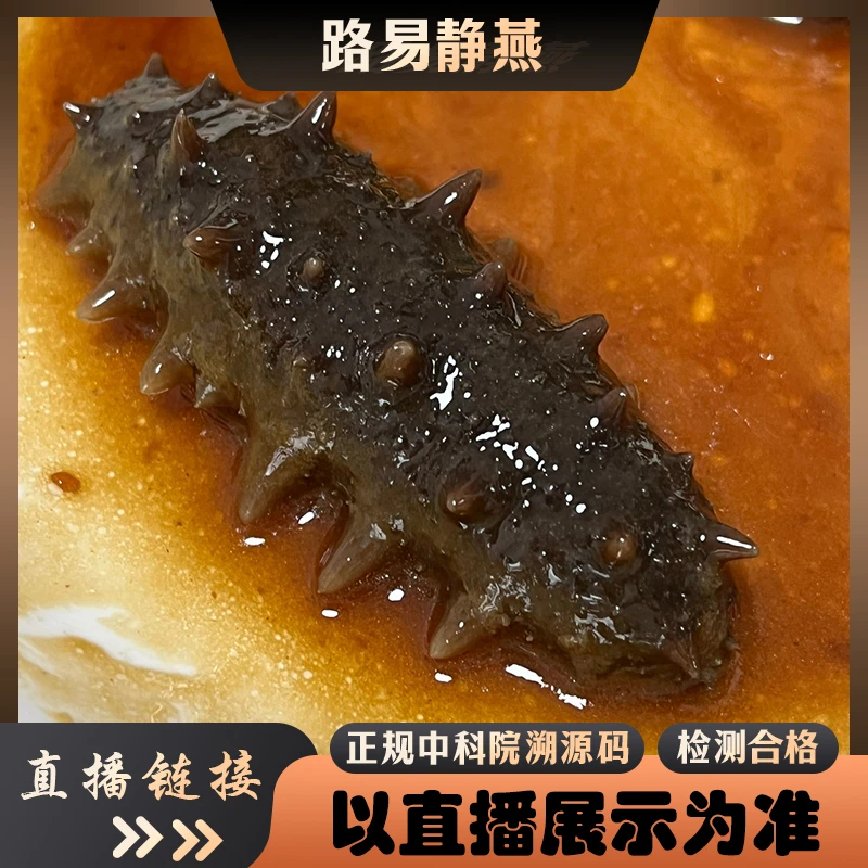 国标鲜食海参解冻即食【小静燕窝】海参滋补品礼盒