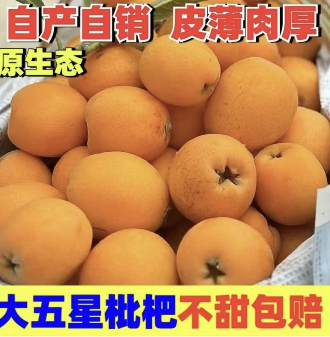 四川大五星枇杷现摘现发新鲜应季香甜多汁枇杷