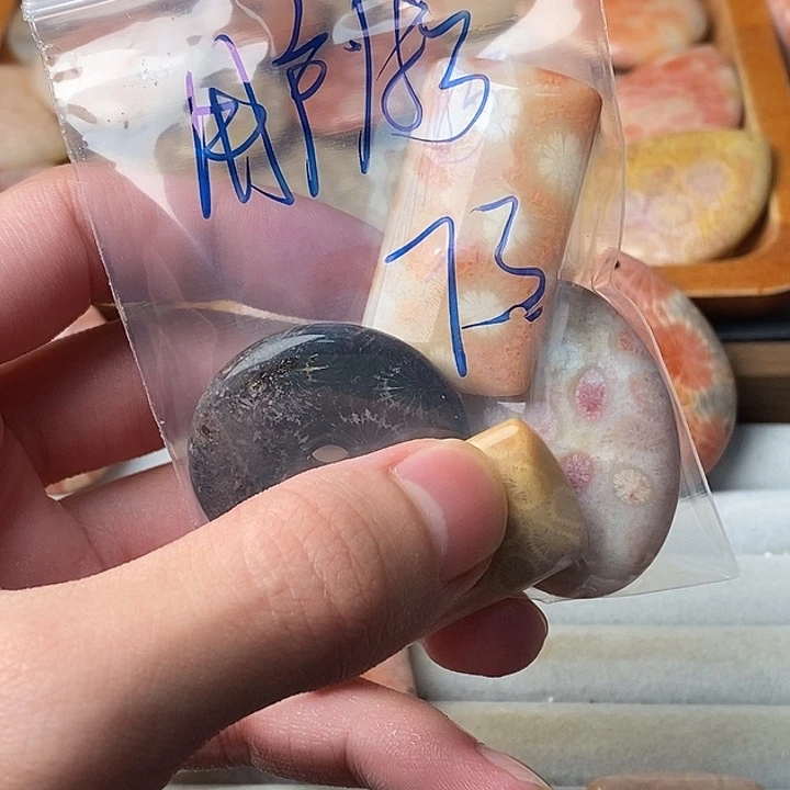 用***6硅化珊瑚未镶嵌颈饰