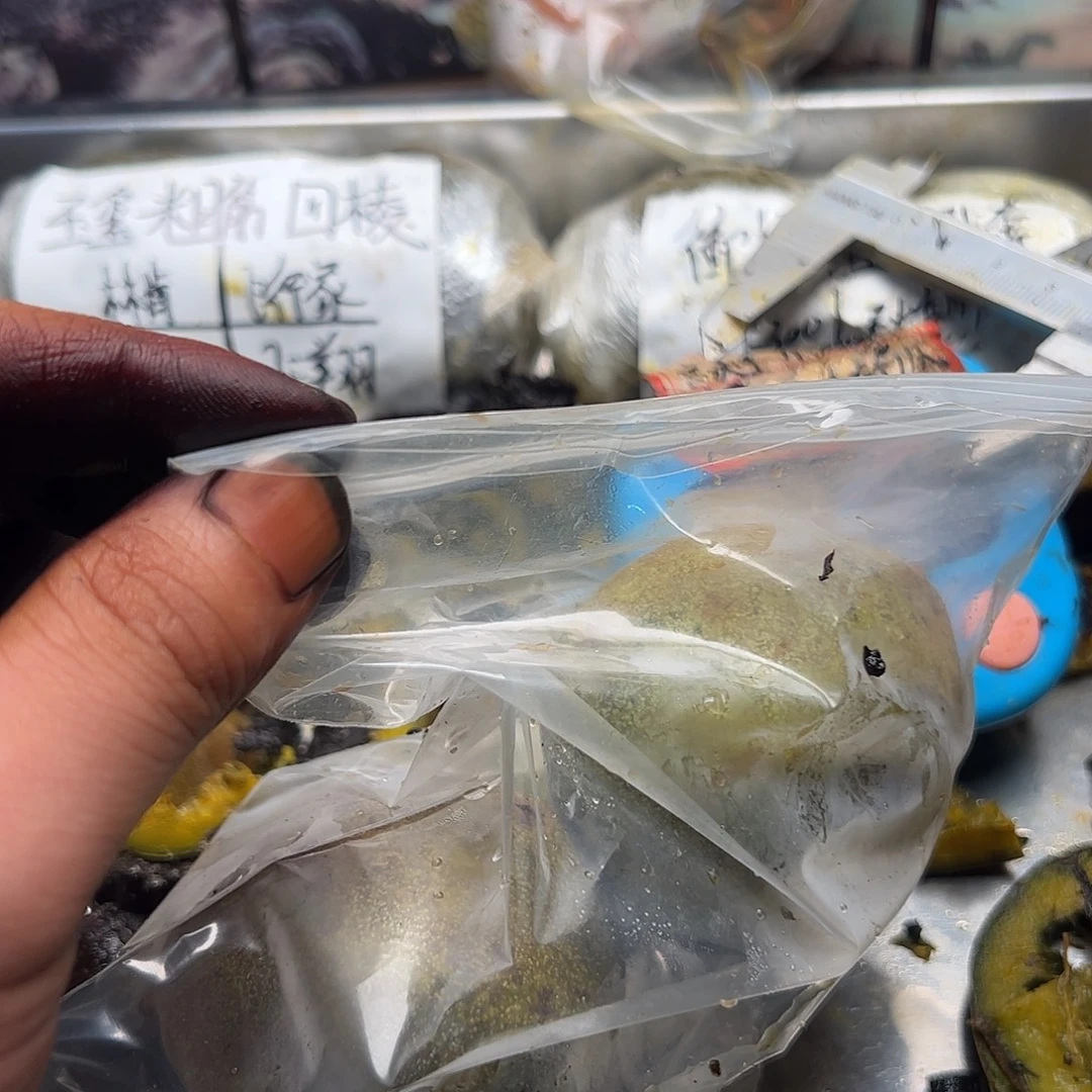 ****符合哈哈环境和火炬计划