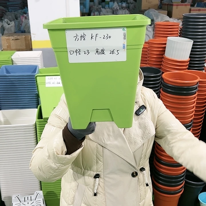正品方盆口23高26.5果绿无托5只