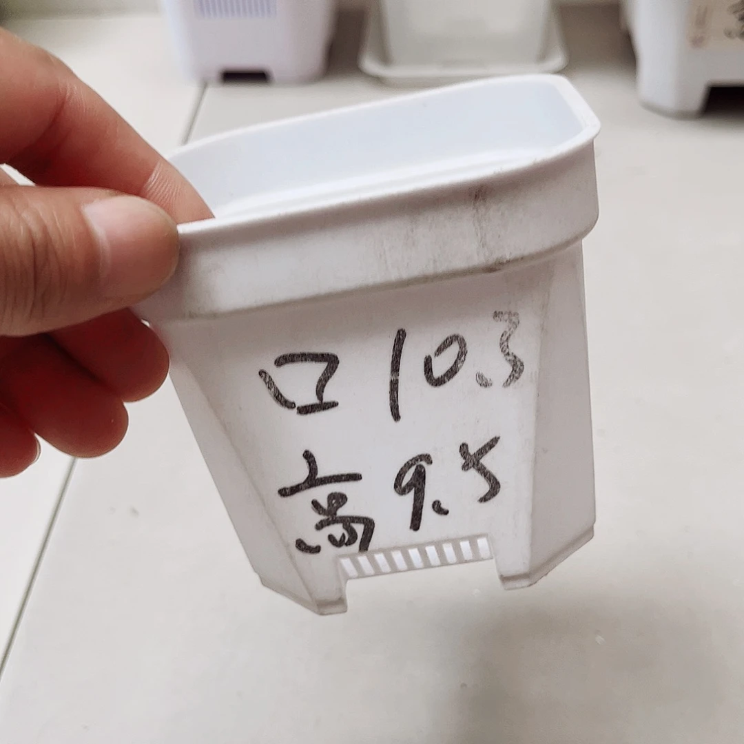 加厚矮胖口10白盆10个无托