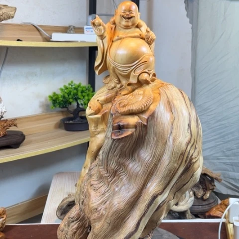 柏木（崖柏）v v b b n n m m m m