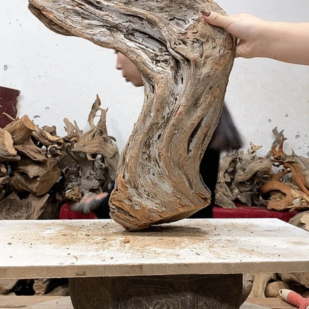 【闪购商品】柏木壹*堂我们都是好孩子