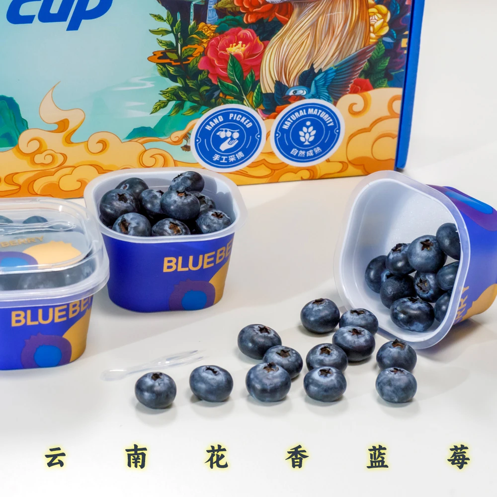 金汐佳汐云南花香蓝莓（馥郁花香味）脆甜多汁480g顺丰
