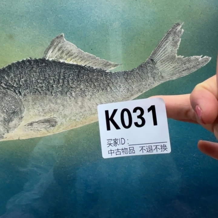 丑***鱼版画中古物品不退换31