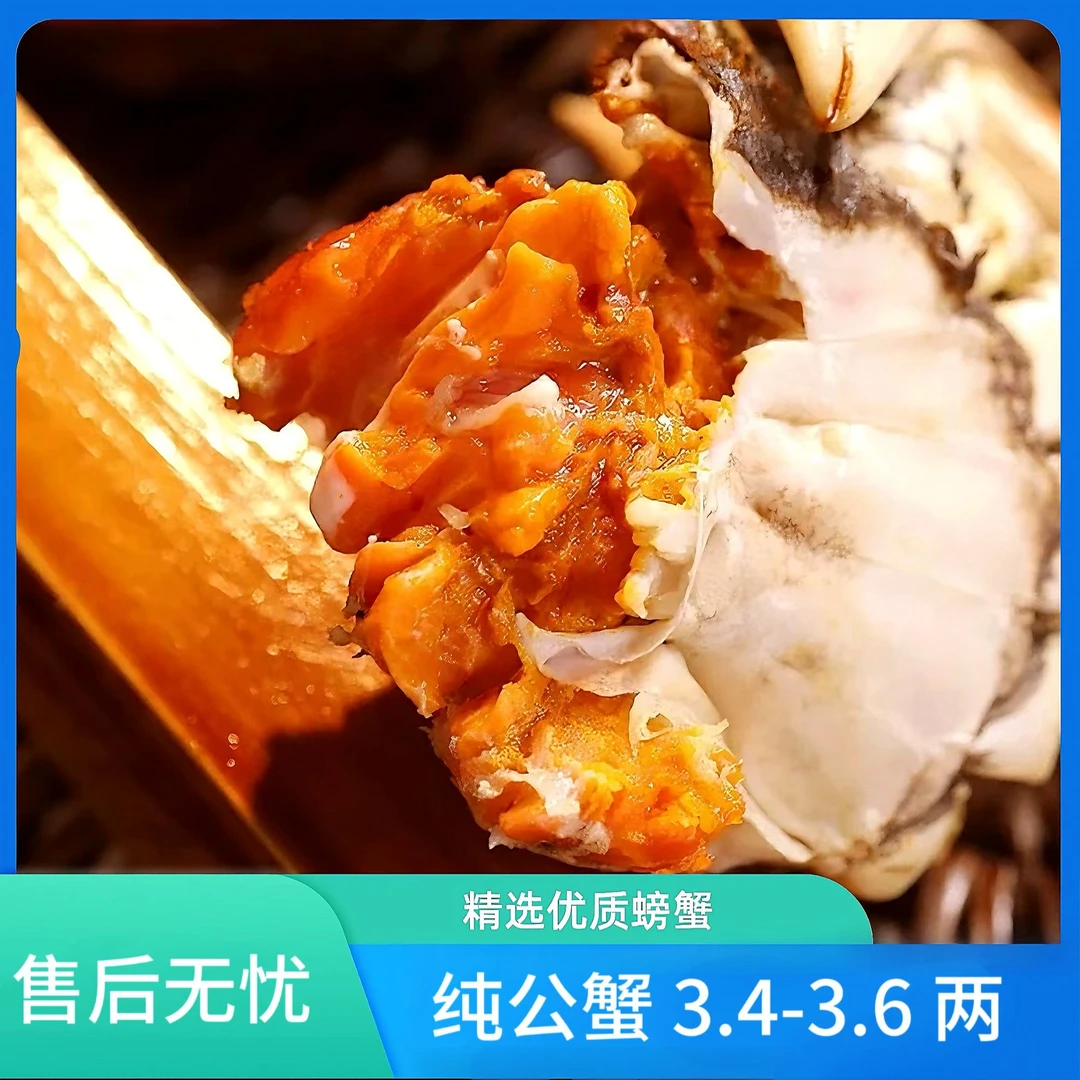 【活蟹】河蟹 公蟹3.4-3.6两 拍10送2 净重2000g 顺丰冷链包邮