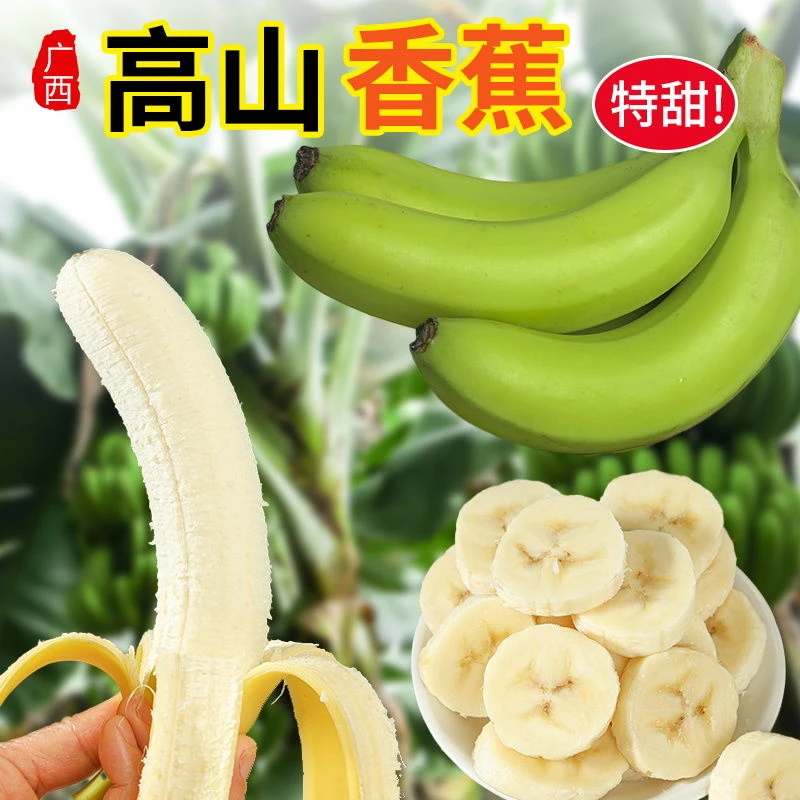 青皮香蕉广西高山种植自然成熟甜香蕉软糯香甜新鲜时令水果5斤