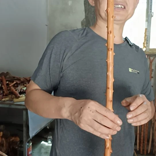 奥***鑫木高山 檬子木文玩料