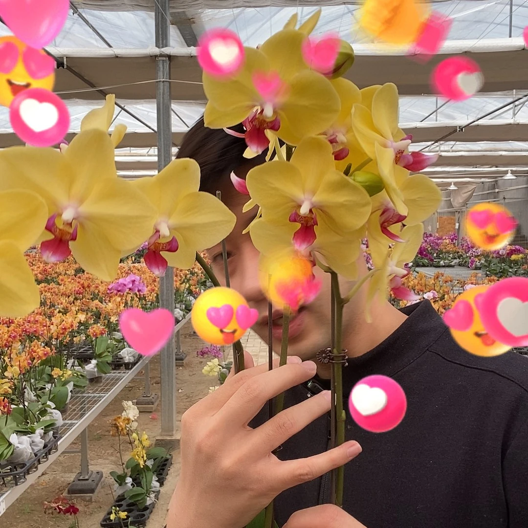 完全开放摩登哪两颗2.8