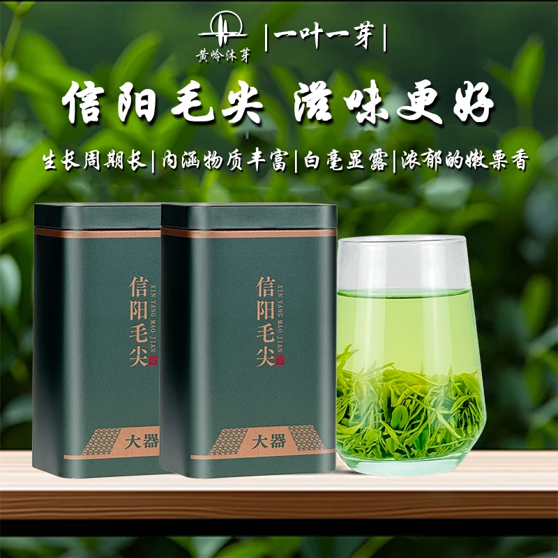 2025信阳毛尖雨前一芽一叶浓香型绿茶嫩芽春茶罐装手工茶叶