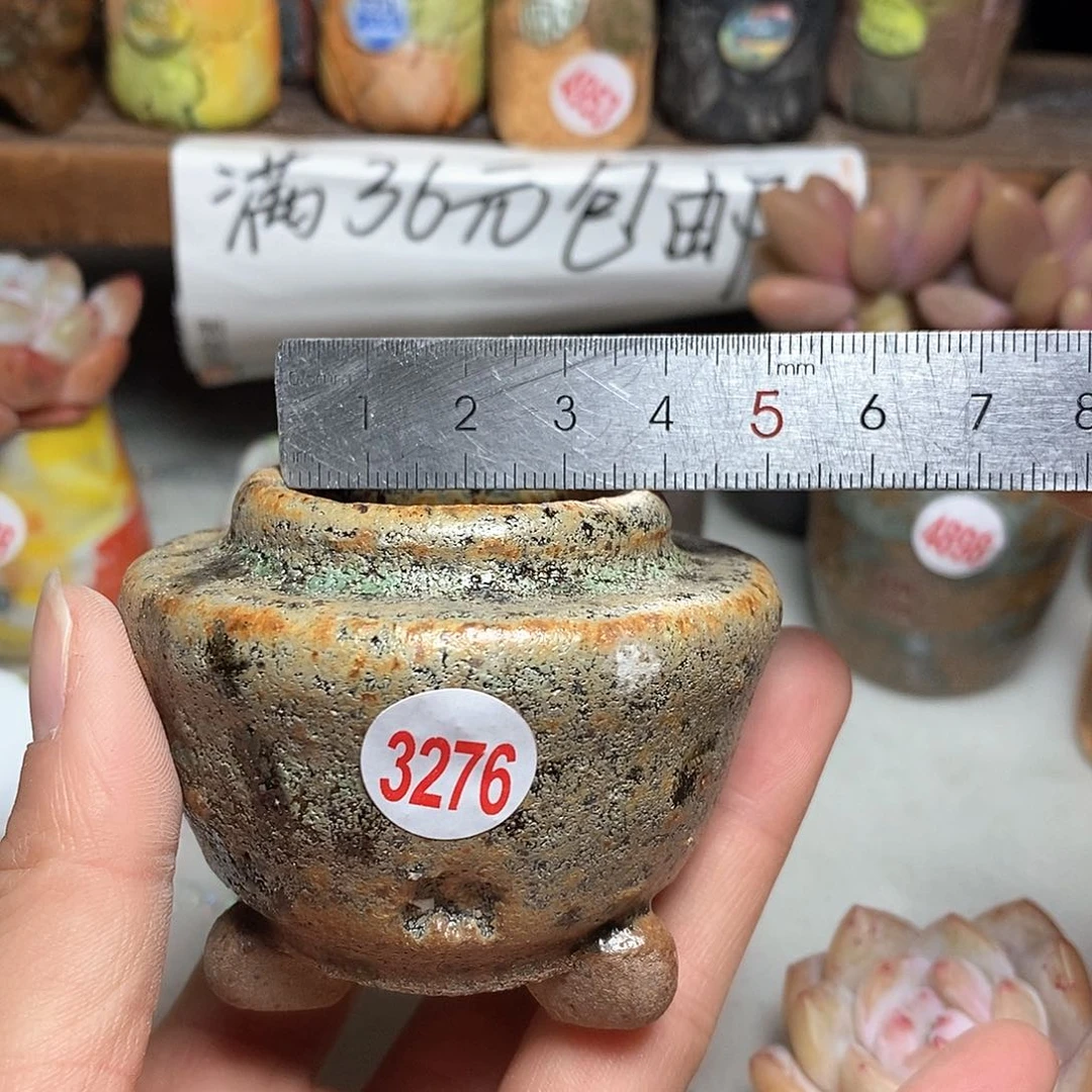 红陶拍5送一个小