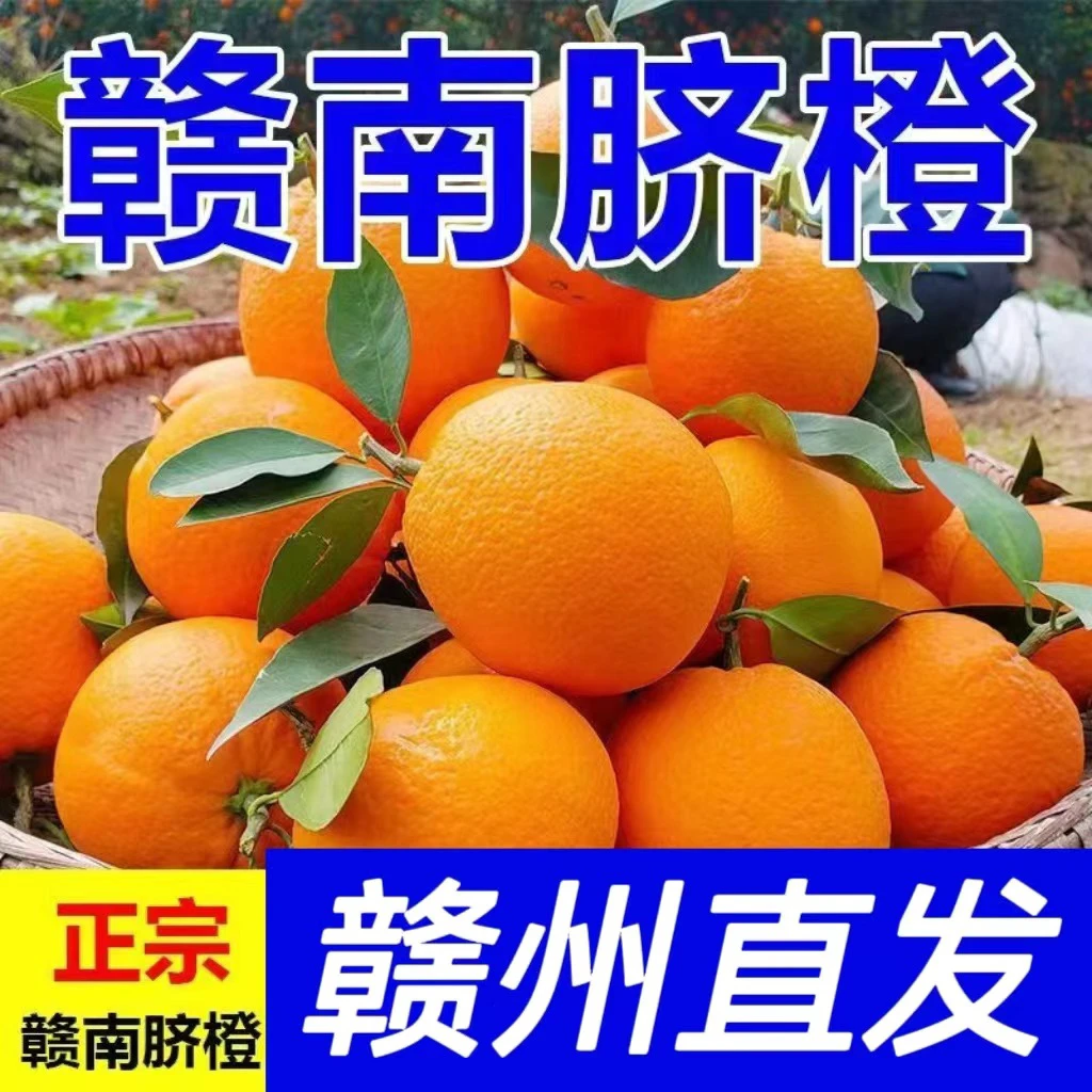 【好品质】CYM正宗江西橙子赣南脐橙鲜甜多汁现采现摘产地直发