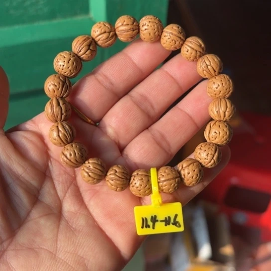 木质野生桃核宽脐