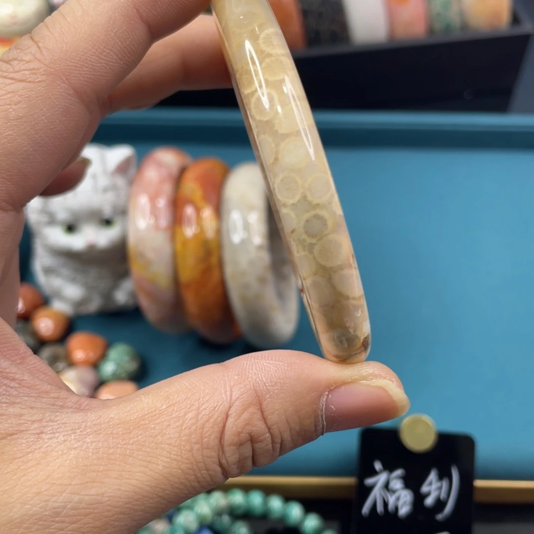 未镶嵌手镯硅化玉