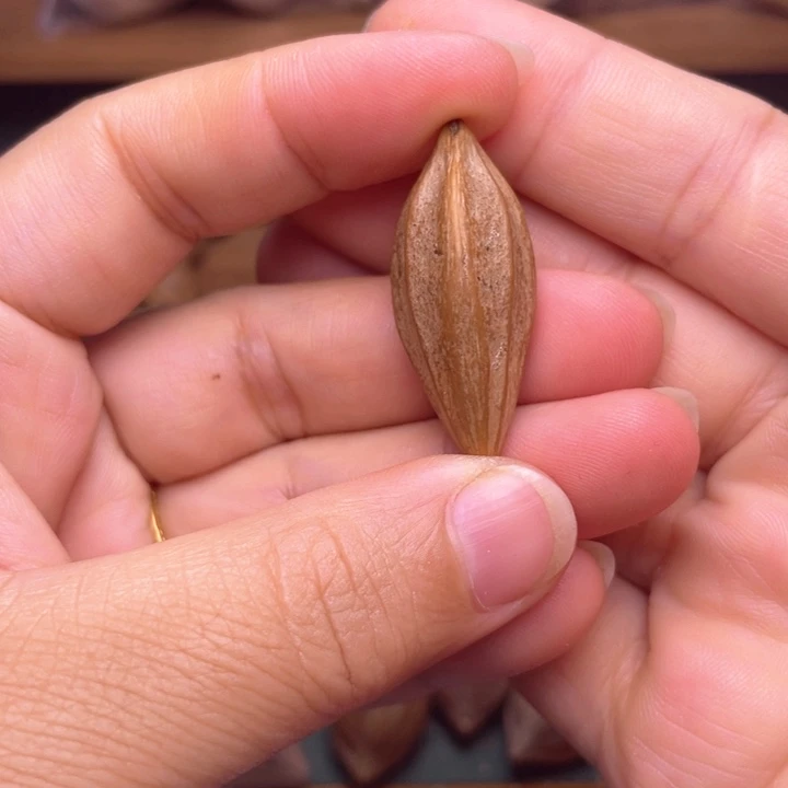 橄榄核手串/手链橄榄核柳叶