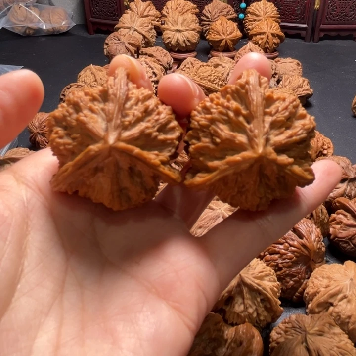 流星雨三棱40尺寸核桃哈哈哈哈哈哈