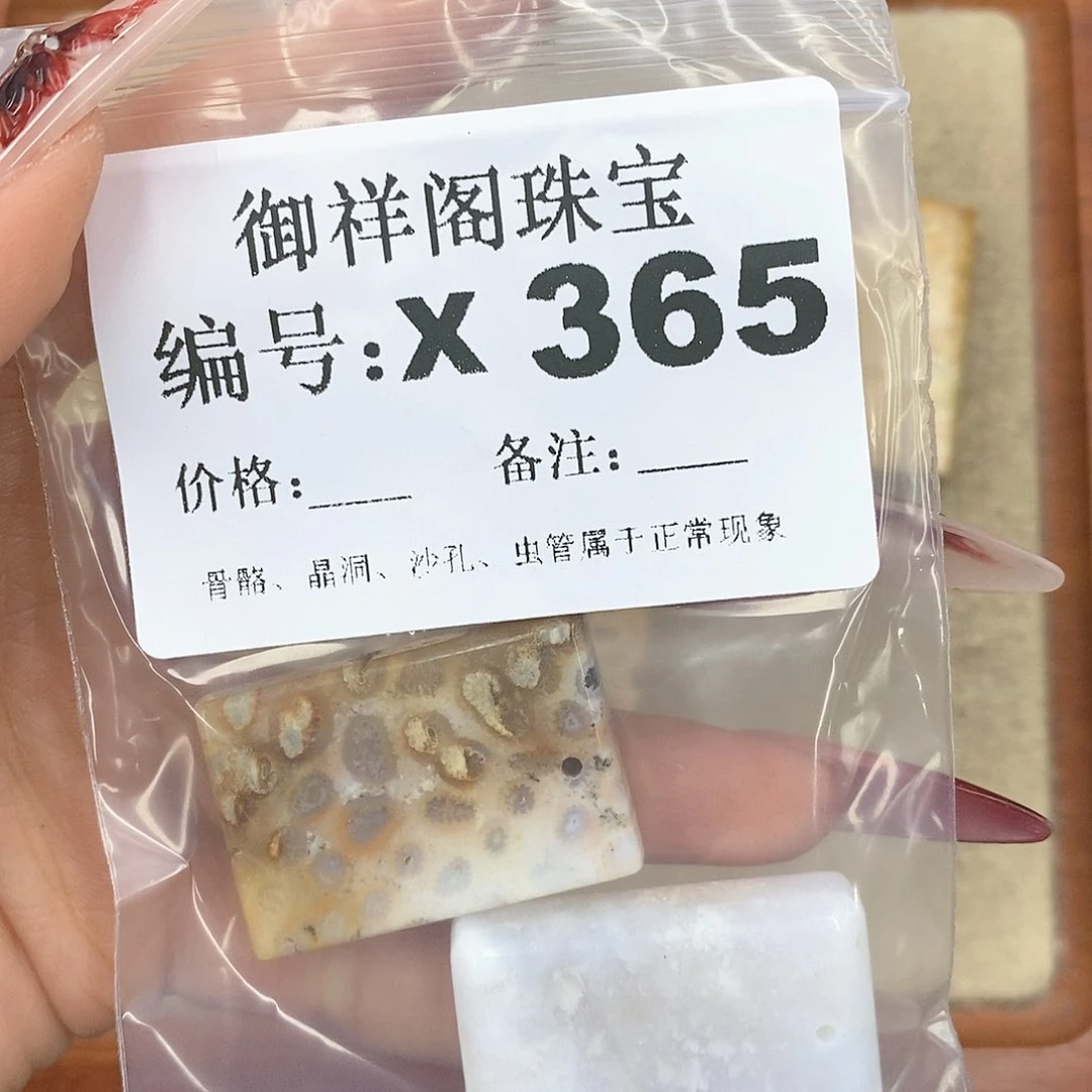 硅化珊瑚（珊瑚玉）颈饰未镶嵌山****y