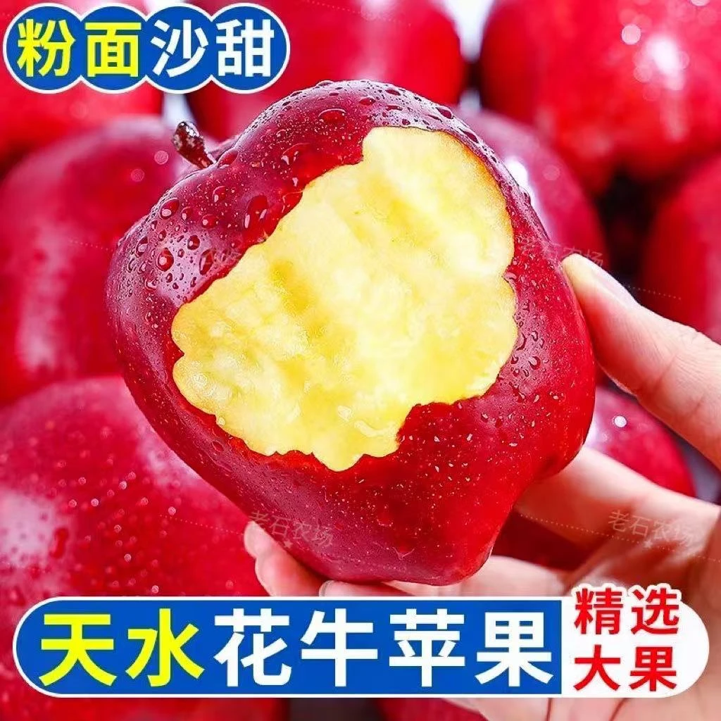 正宗甘肃天水花牛苹果当季新鲜水果脆甜粉面苹果产地直供
