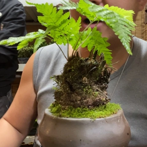 红陶涛**旧一物一拍所见即所得275