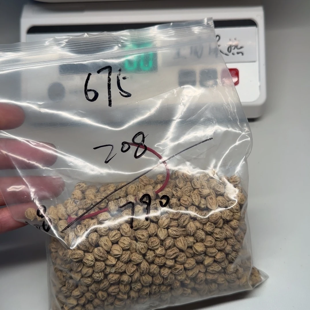 陈***会柏香籽/百香籽吊坠