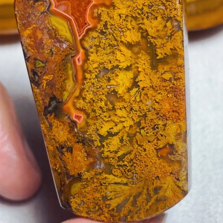 虾***眼合金玛瑙玛瑙/玉髓