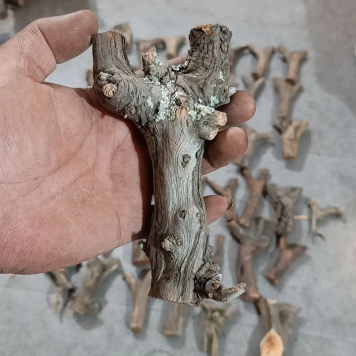 梨木明**风崖柏原叉崖柏原叉