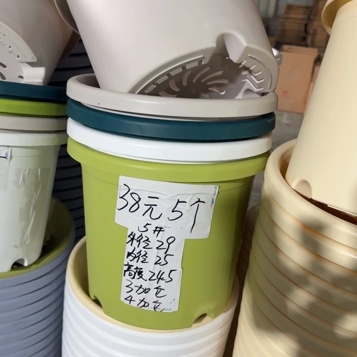 四季5#口径29果绿5个无托