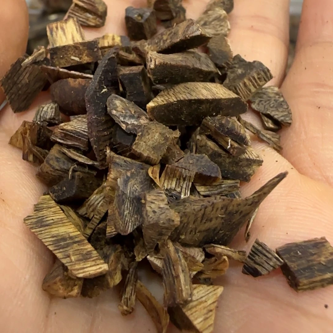 沉香木摆件海南棋楠沉香切珠小块料102