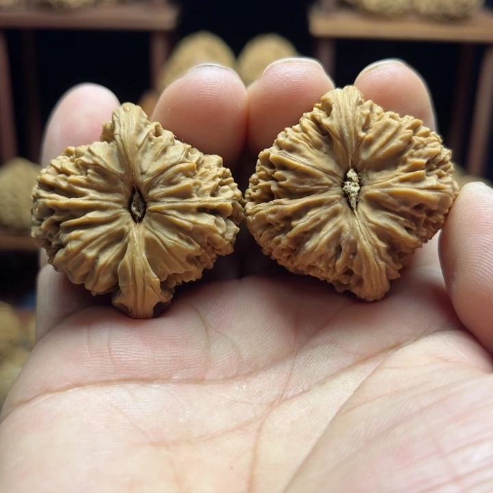 完全开放金*南疆石