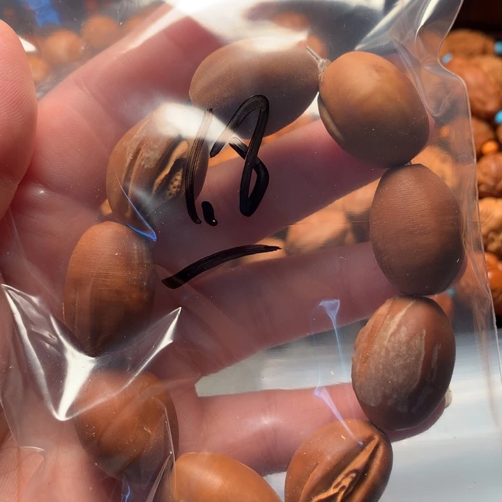 橄榄核手串/手链橄榄核