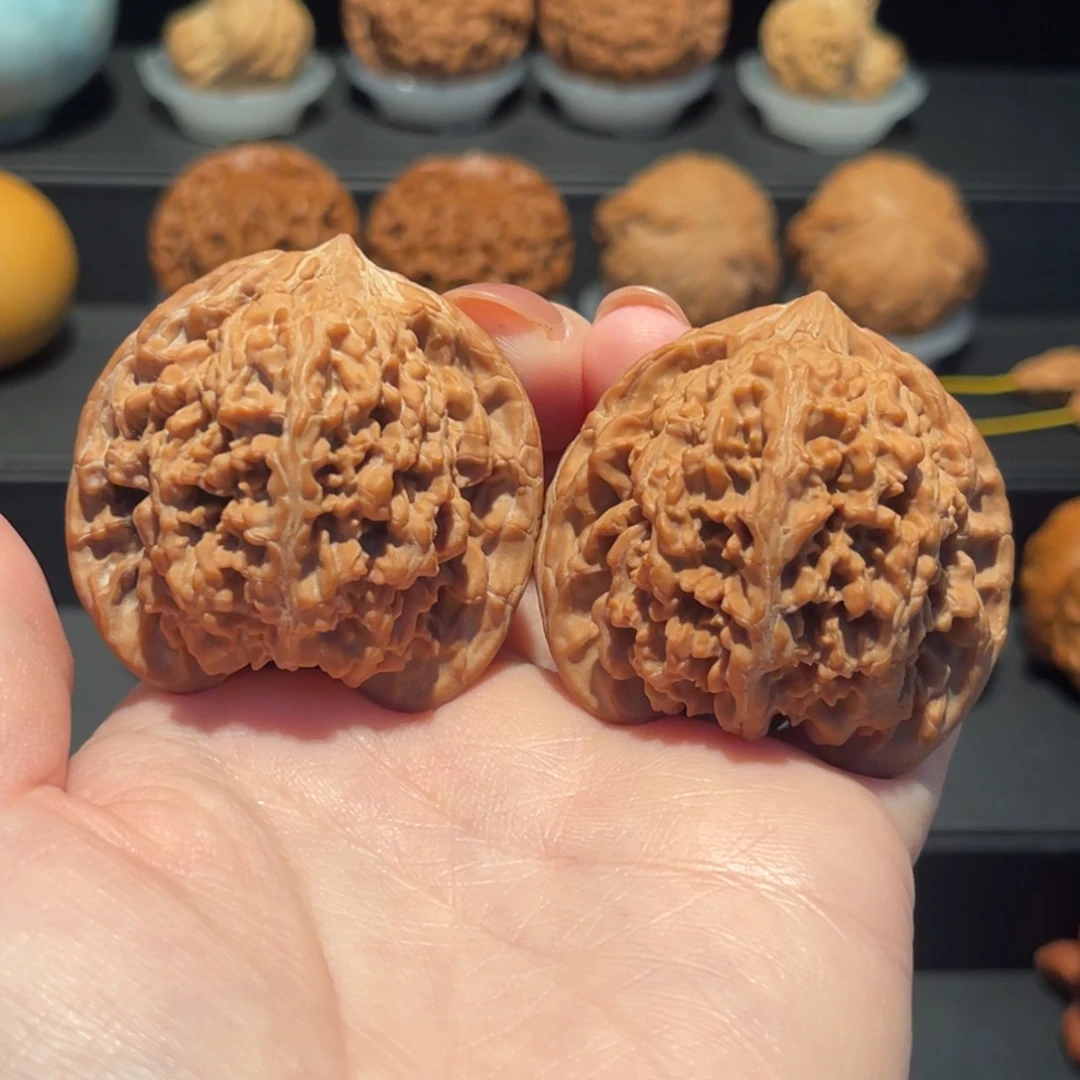 海***盐满天星45精品，全品078