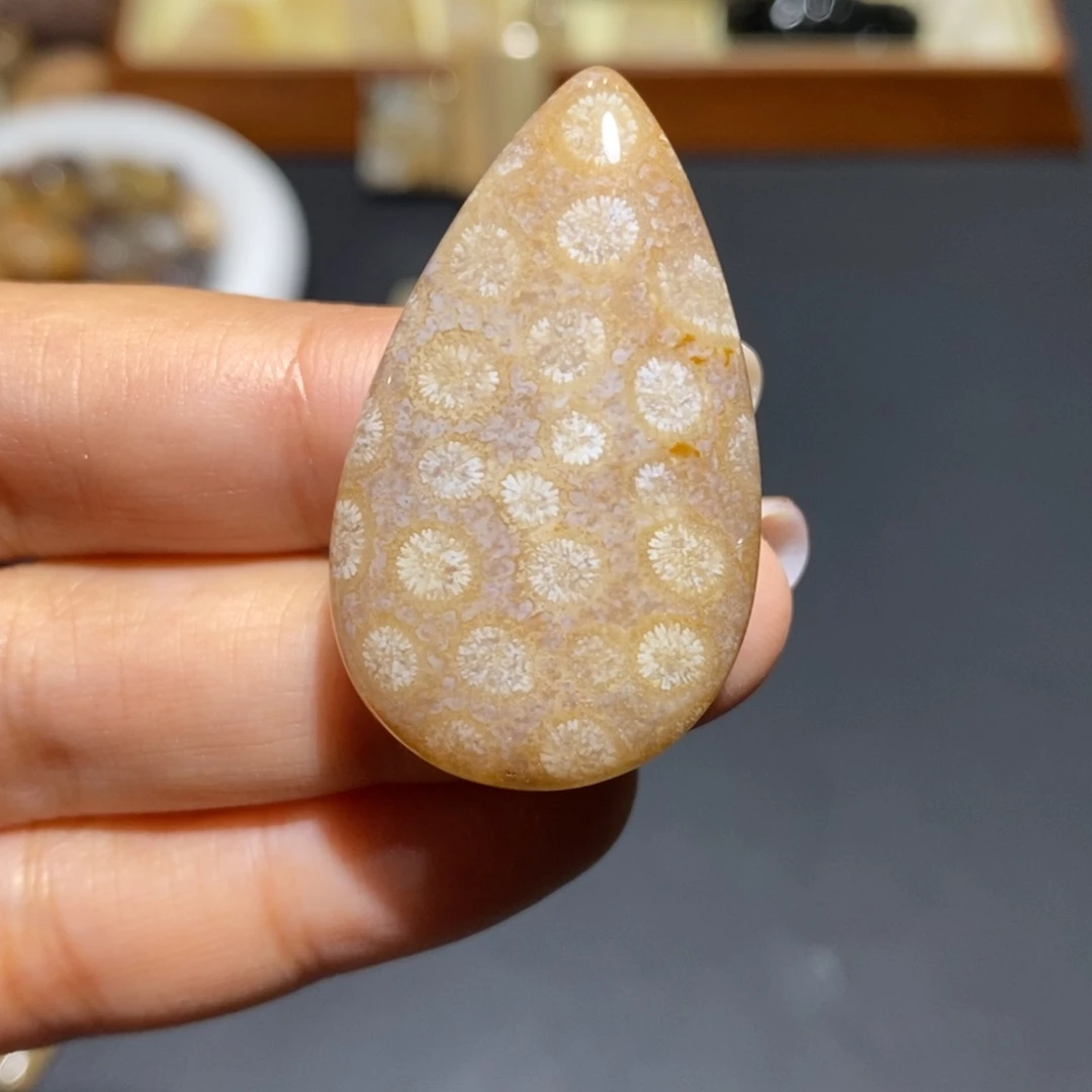 【闪购商品】未镶嵌珊瑚玉硅化玉