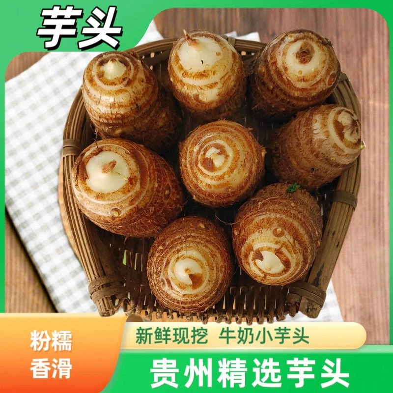 贵州新鲜现挖小芋头香糯奶白毛芋头牛奶小芋头儿软糯白芽芋头包邮