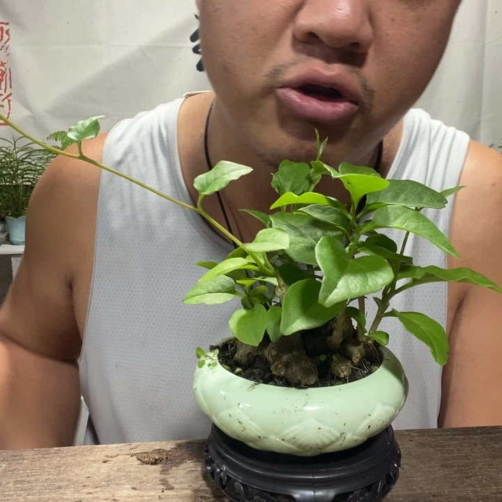 大****级退款拉黑一物一拍330