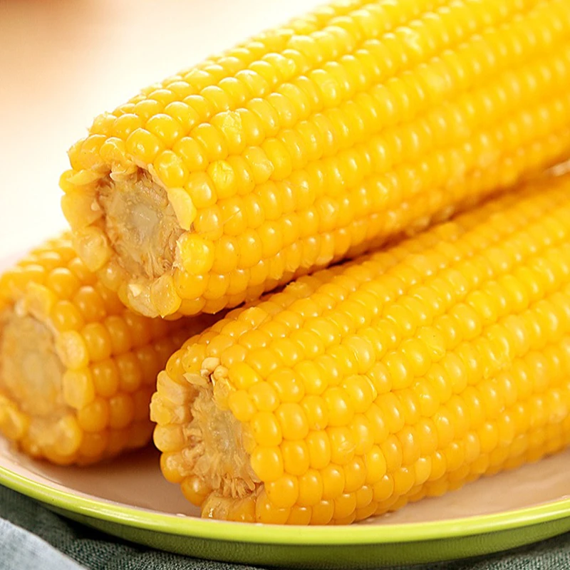 【试吃5棒】东北真空锁鲜黄糯玉米280克-350克到手10棒