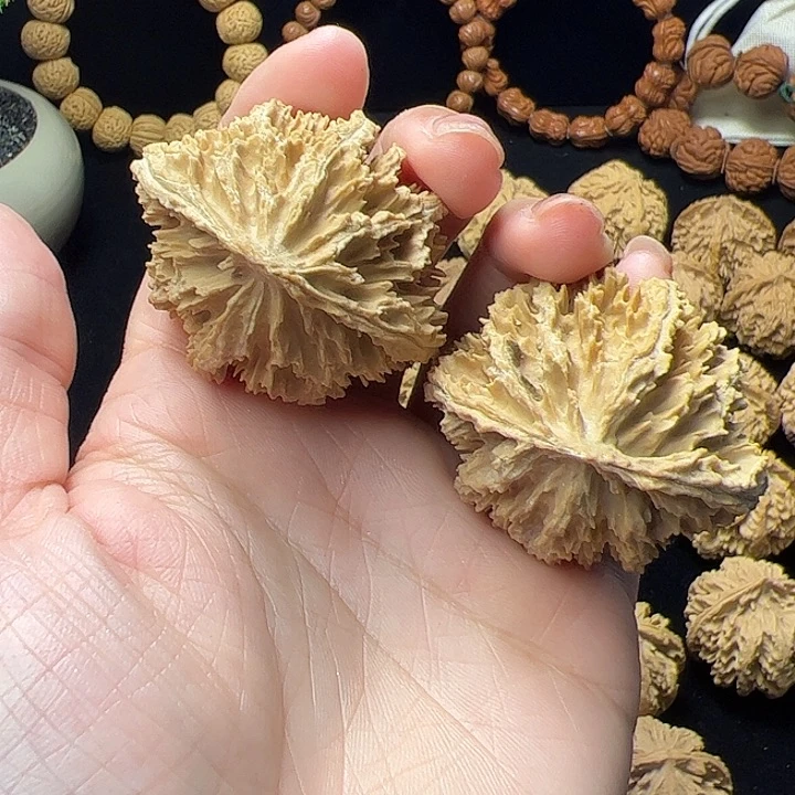 文玩核桃把件秦岭植物核桃