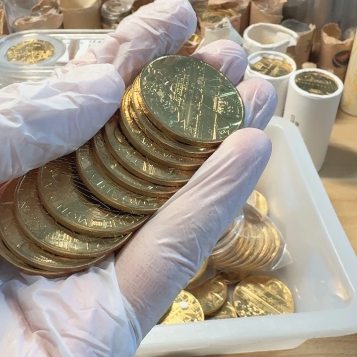 其他普通金属10枚，紫禁城币