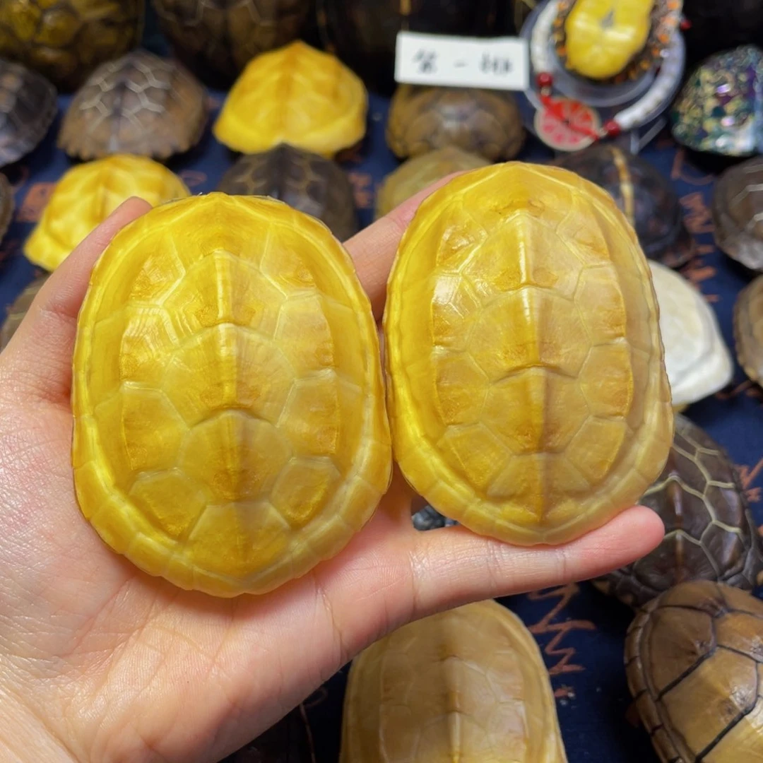 平***姓文玩龟壳手把件摆件