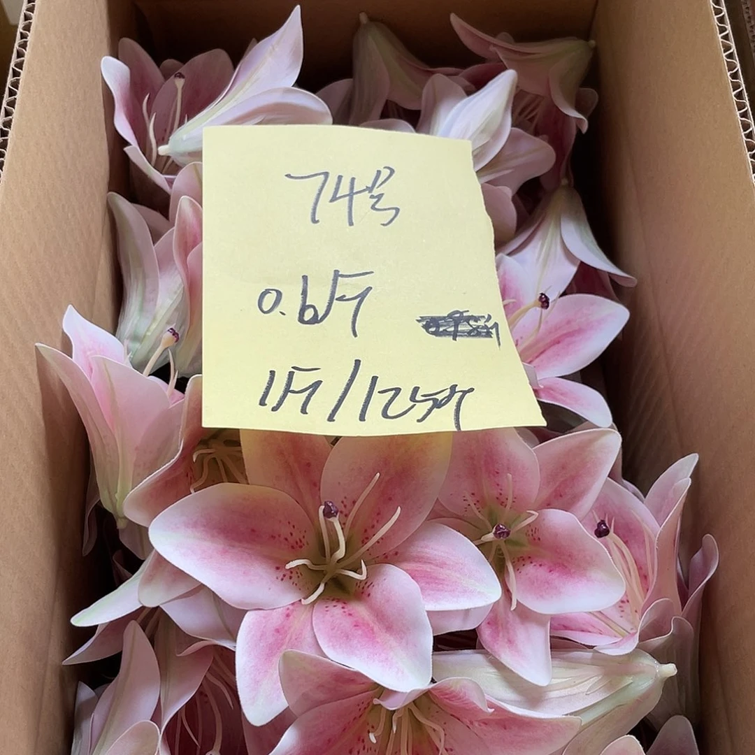 锆石非金属百合花头0.6斤